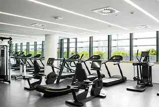 Gymnasium